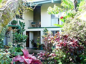 Dolphin Bay Hotel Hilo Exteriör bild